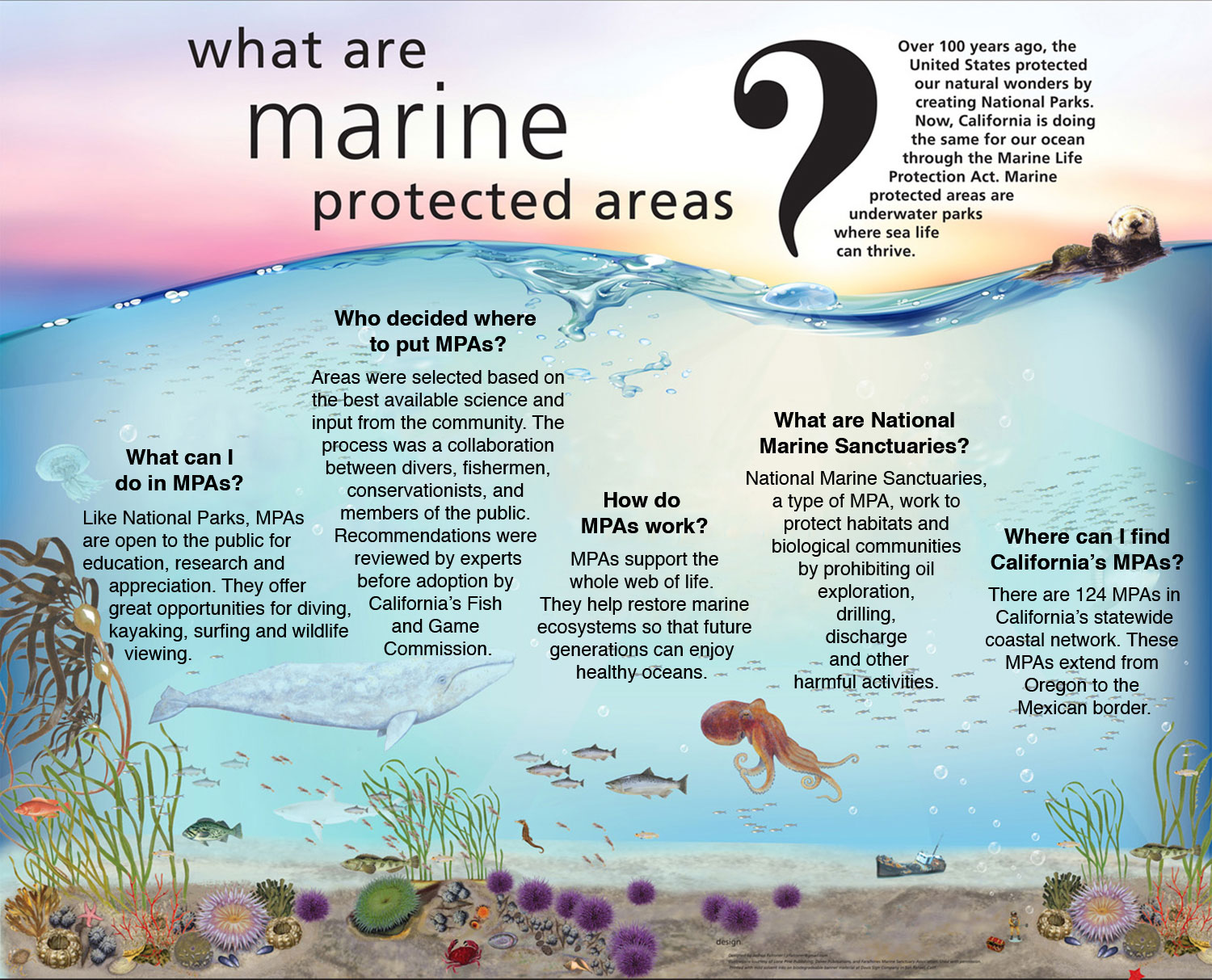Is to protect life. Marine Life корм. What can we do to protect Ocean. The intertidal Zone комикс. Diseases of the intertidal Zone.